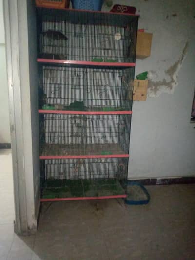 8 Portion Cage For Sale  (Can Be Made One Big Cage)