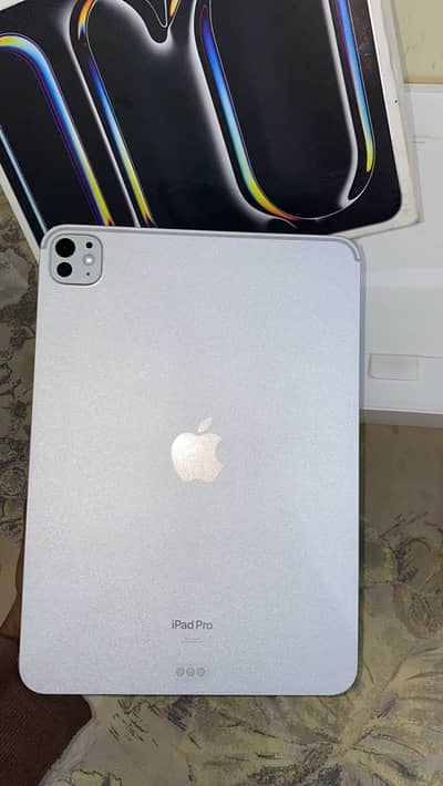 iPad Pro m4 (11 inch)