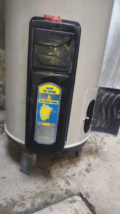 customers double palaee Geyser