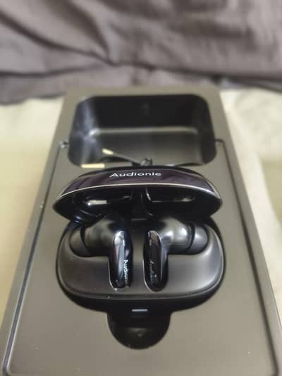 Brand New Air Buds Audience,