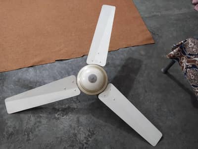 Used Ceiling Fan for Sale – Working Condition