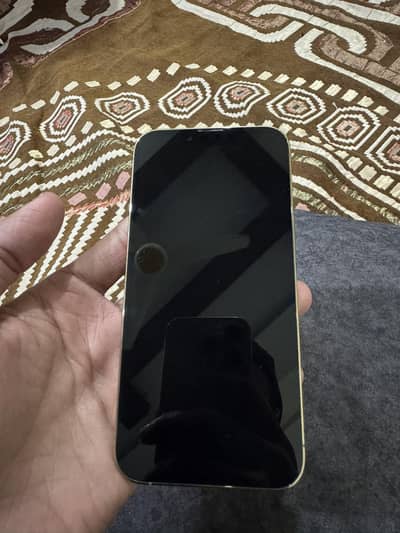 13 PRO 256GB JV NON PTA