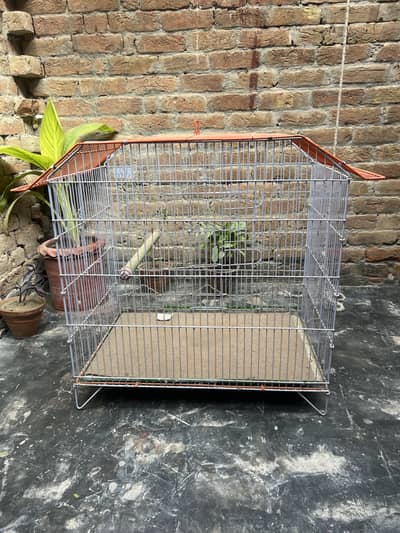 brand new large size birds cage
