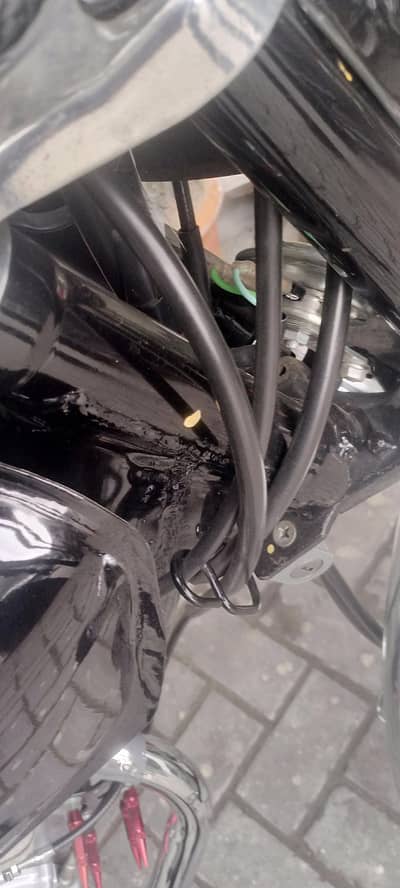 total GENIUN  but black slincer nh milyga