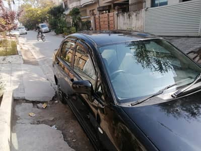 BLACK BEAUTY FOR SALE