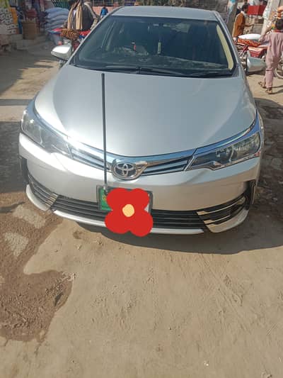 gli2017 face left shape