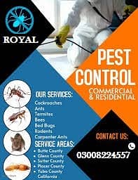 Pest control Termite Expert & Tank cleaning Services