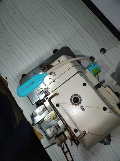 saf pees h 1 hand chLi h