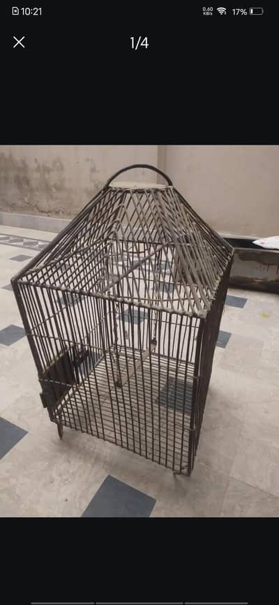 birds cage Green parrot