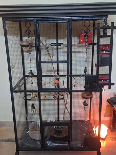 big cage for parrots/finches