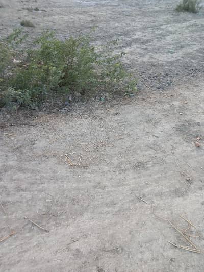 plot for sale camerciol