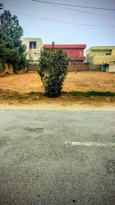 6.75 Marla Plot for Sale