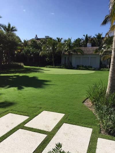 Artificial Grass | Astro Turf | Cricket Grass | Football Sports Grass