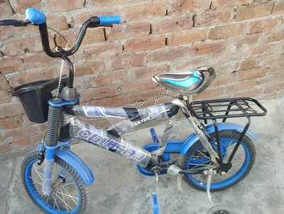 bicycle for kids