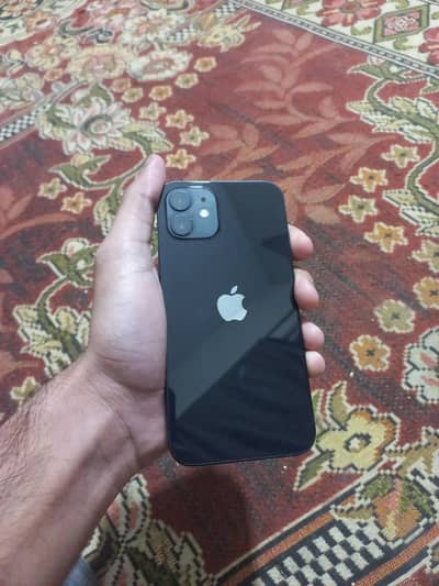 iphone 12 64gb waterpack non pta factory unlock