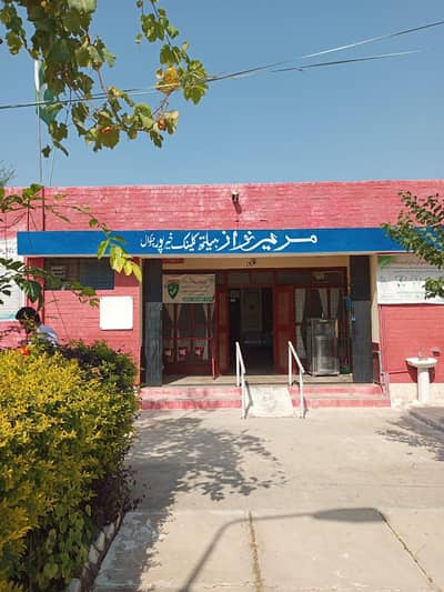 LHV, MIDWIFE, DISPENSER, NAIB QASID, SANITARY WORKER, MALI, AYA