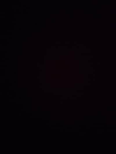 required female staff