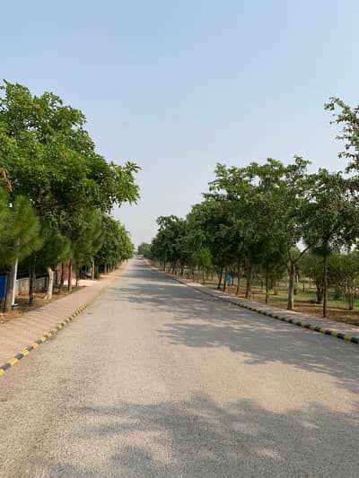 Gulberg Residencia Block M