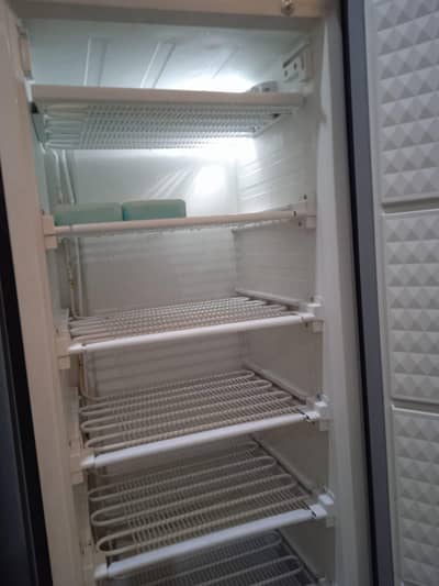Vertical Freezer