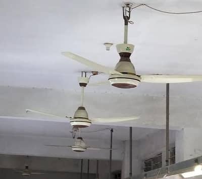 Tamoor Fans Magnum 30watt Ac