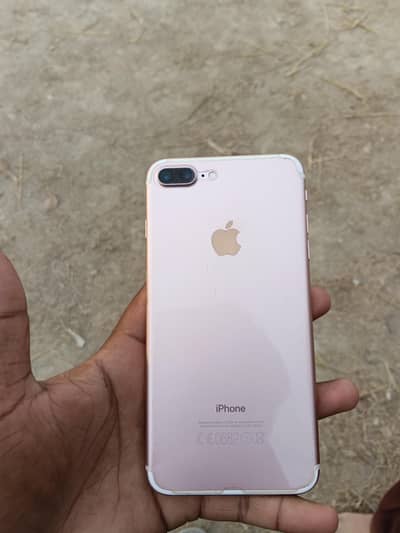 lush condition series buyer contact