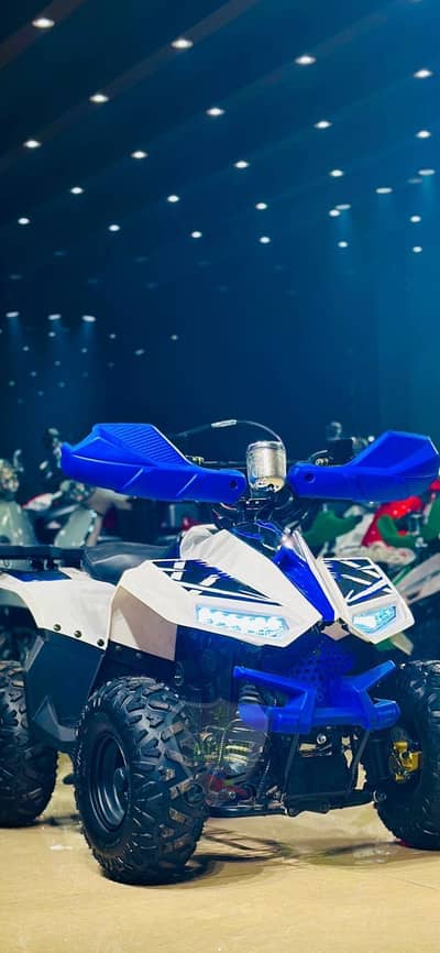 ATV QUAD DIRT DESERT OFF ROAD FOUR WHEEL 4x4 Bike Quard