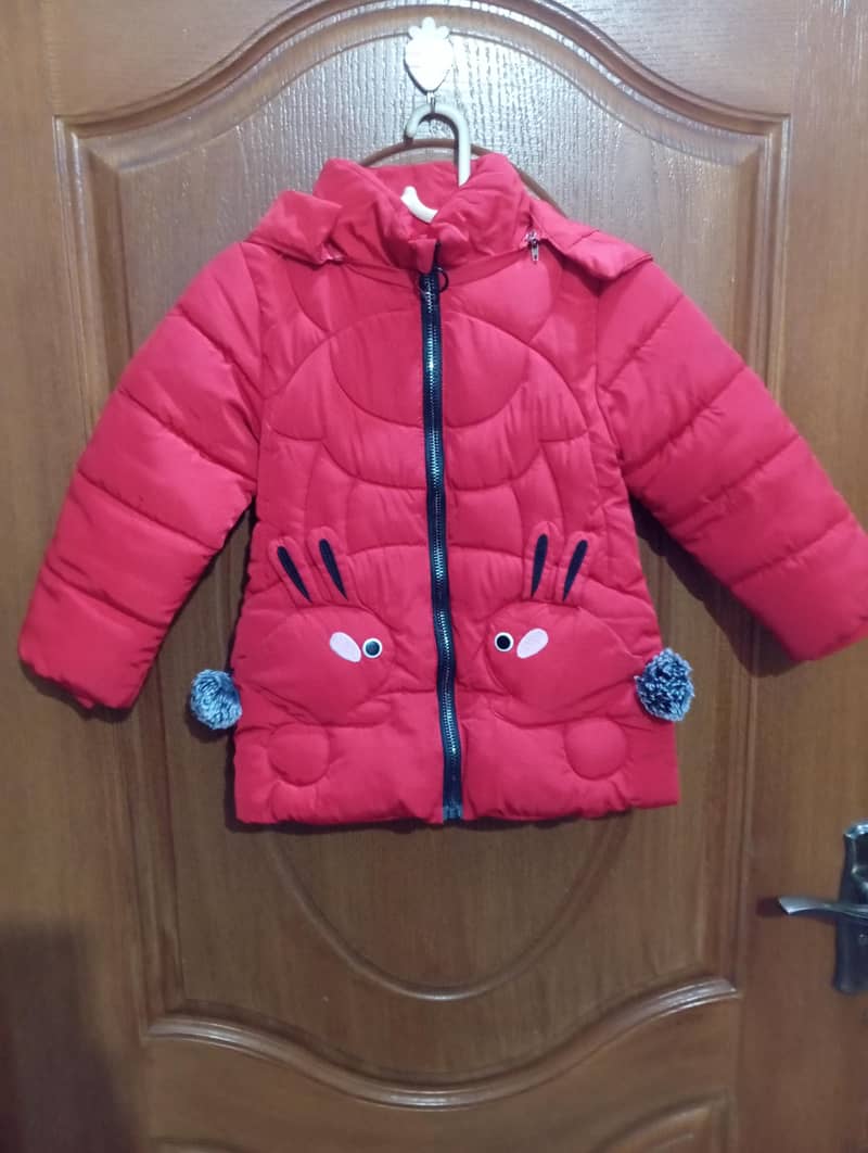Puffer jackets 1