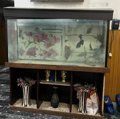 Fish Aquarium