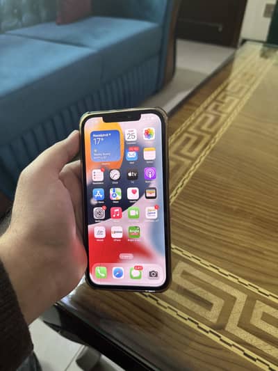 Iphone 12 pro max PTA approved 256gb