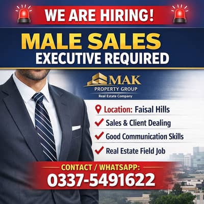 Sales Executive