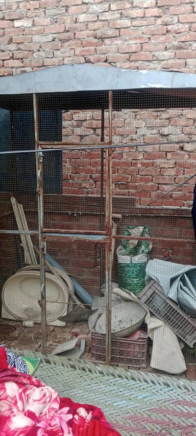 pigeon cage for sale
