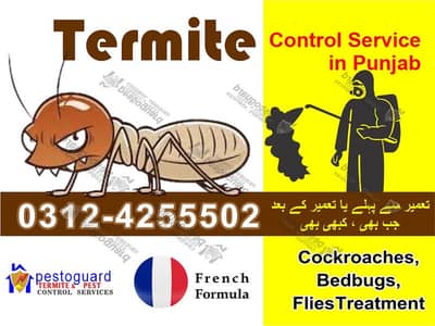 Fumigation/termite/pest control/Deemak control /cockroach spray