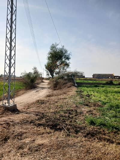 72 kanal agricultural for sale in chakwal