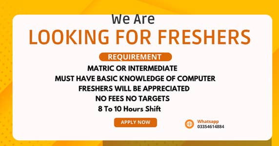 Computer Operator Job (Freshers Needed)