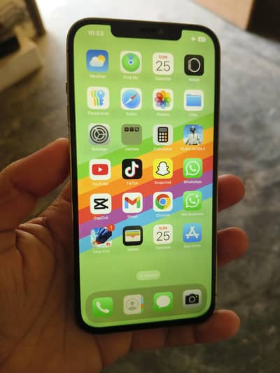 Iphone 12 pro max 128