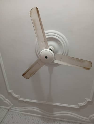 Royal 50 Watt Energy Saver Ceiling Fan