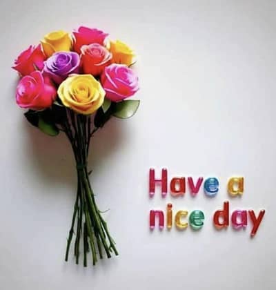 LHV required experience ultrasound must area basal 03145829244