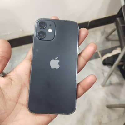 Iphone 12 Mini