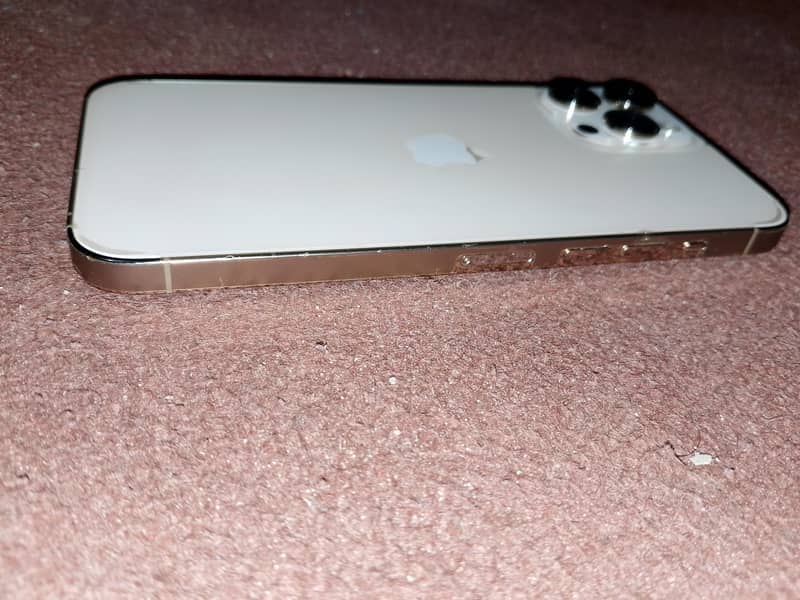 Iphone 13 Pro max 1
