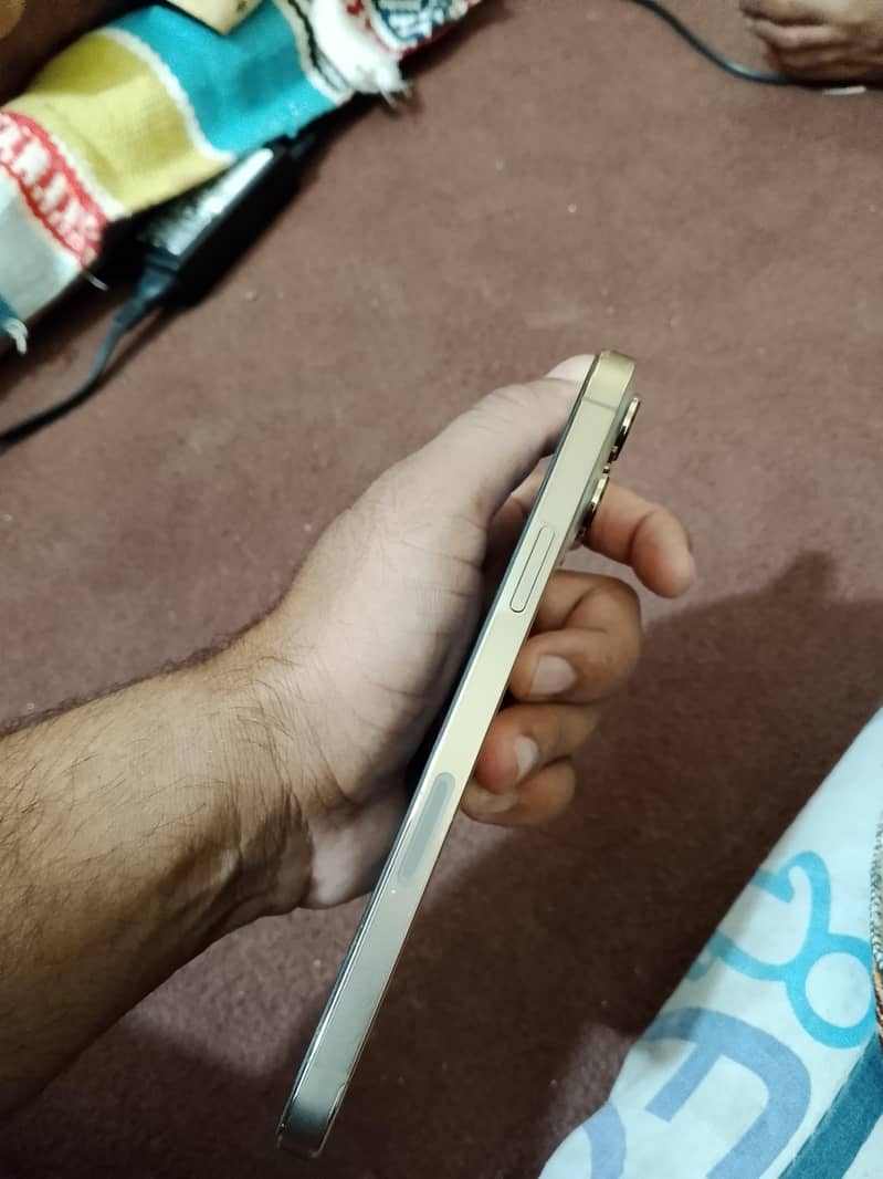 Iphone 13 Pro max 4
