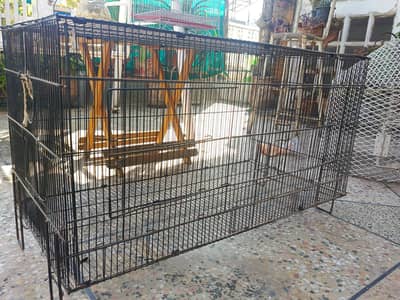 Teetar Cages, Parrot Cages and Hen House