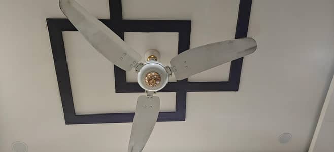 Royal Ceiling fan