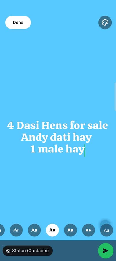 4 Dasi Hens or ik male hay