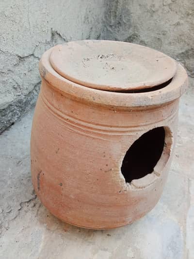 Australian Parrots Nest