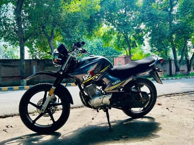 Yamaha YBR g  grey colour 2020 model  all Punjab number