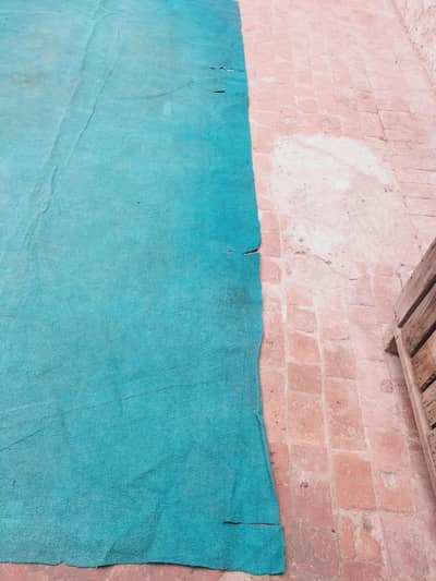 Carpet good Condition