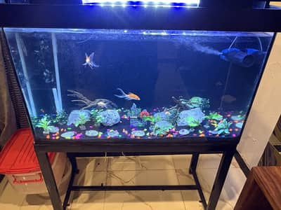75 gallon complete aquarium
