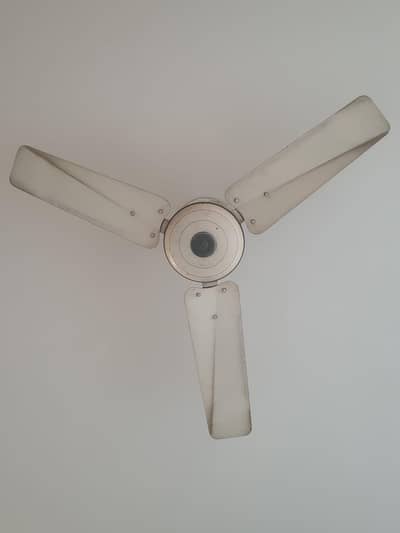 Pakfans Ceiling Fan - Energy Efficient and Durable