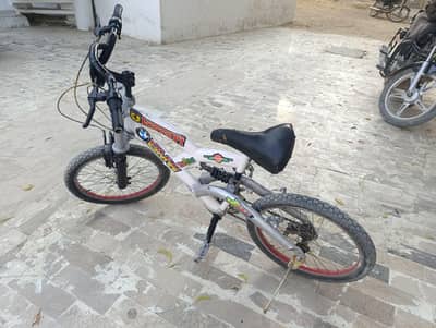 bicycle (10-15 y)
