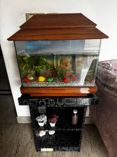 Fish aquarium with stand
